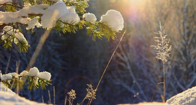 20 красивых зимних цитат, которые подарят вам теплые чувства в холодные дни