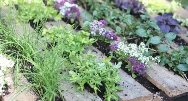 8 порад щодо покращення вашого саду