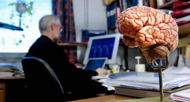 13 дивовижних фактів про головний мозок , які ви не знали