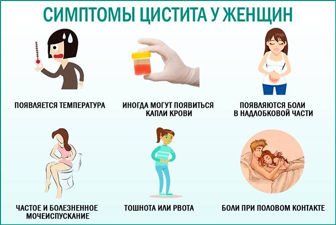 11 симптомов инфекции мочевыводящих путей