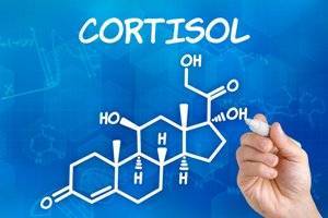Что такое кортизол