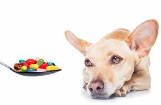 Витамины с глюкозамином для собак