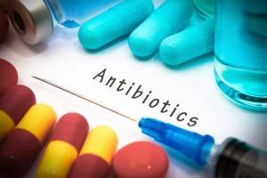8 самых странных источников антибиотиков