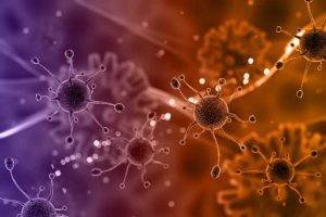 7 вирусов, которые способствуют развитию рака
