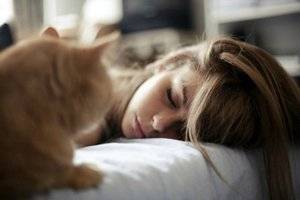 Почему кошки смотрят на вас, пока вы спите, и как это остановить