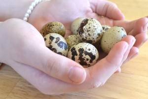 9 удивительных полезных свойств перепелиных яиц для кожи
