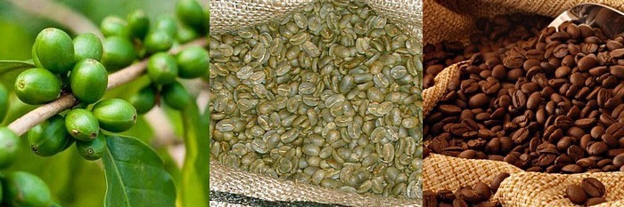 Зеленый кофе с имбирем - цены в аптеках
