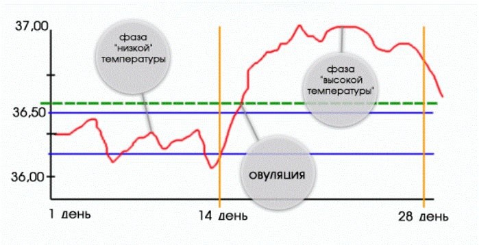 Маленький гений-барабанщик - Pikabu Магнитные доски, азбуки и цифры для них в интернет-магазине