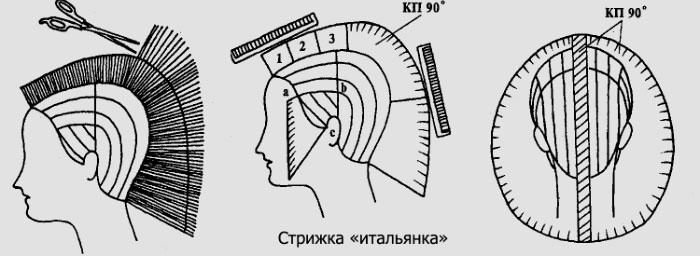 Техника стрижки схема фото Техника стрижки схема фото