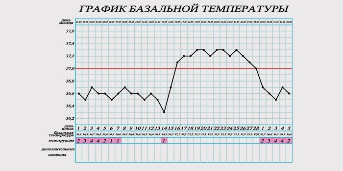 Как определить беременность в домашних условиях на раннем сроке