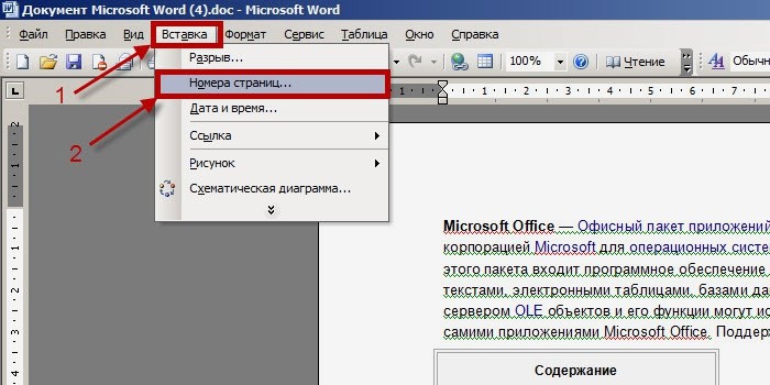 17. Человек и общество Как не нумеровать первую страницу в ворде
