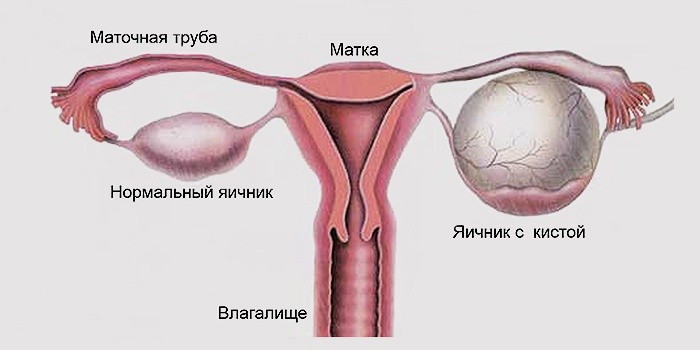 Советы садоводам и огородникам, Лунный садовый 80 Советы садоводам и огородникам, Лунный садовый 93
