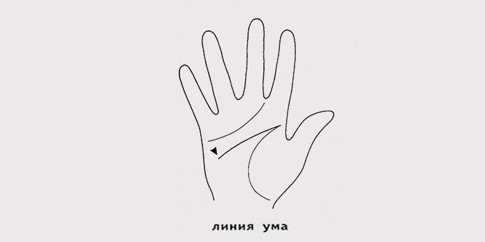 Линии на руке, что они означают: толкование хиромантического гадания Линии на руке, что они означают: толкование хиромантического гадания