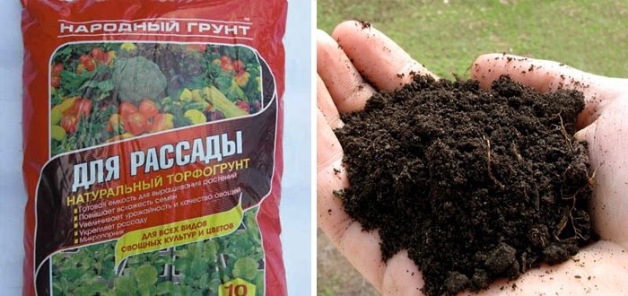 Грунт для рассады помидор в домашних условиях Грунт для рассады помидор в домашних условиях
