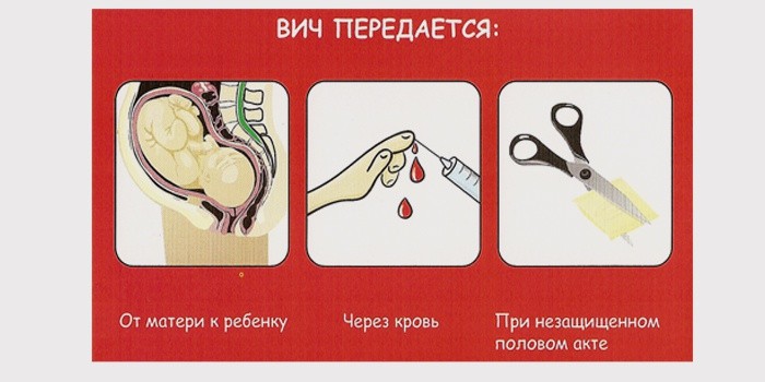 Порнокопилка мокрые оргазмы Мария кожевникова сиськи
