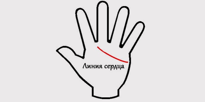 Как гадать по руке по линиям на будущее, любовь и детей Как гадать по руке по линиям на будущее, любовь и детей