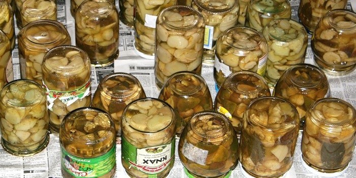 Вязаный свитер спицами Вяжем с Лана Ви Вязание спицами - Страна Handmade