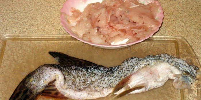 Фаршированная щука - как приготовить по пошаговым рецептам рыбу целиком в духовке с фото