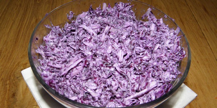 Салат из краснокочанной капусты - быстрые и вкусные рецепты приготовления салата с уксусом или майонезом