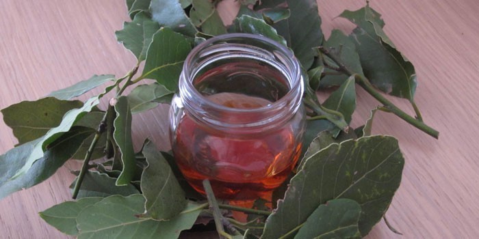 Настойка лаврового листа в банке