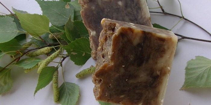 Березовый деготь и ветка дерева