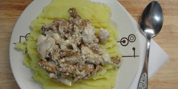 Курица с шампиньонами в сметанном соусе с фото Курица с шампиньонами в сметанном соусе с фото