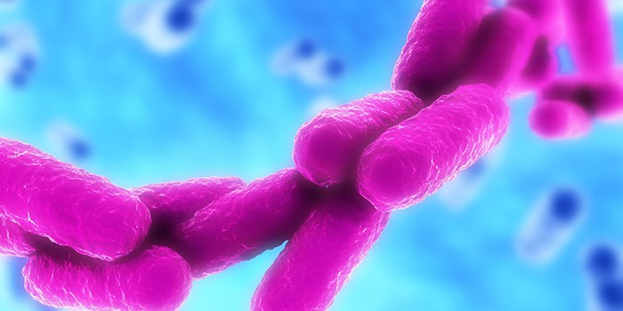 Как лечить klebsiella pneumoniae во влагалище Как лечить klebsiella pneumoniae во влагалище