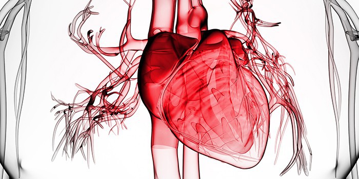 Что такое обширный инфаркт и его последствия