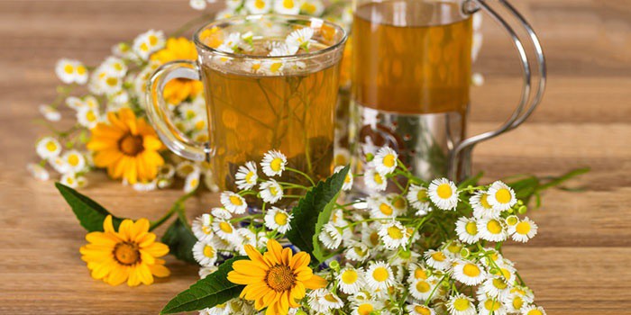 Отвар в чашках и цветы ромашки