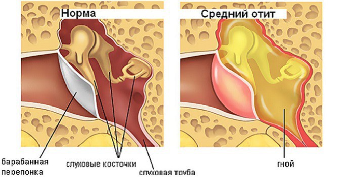 Витамины для роста ногтей и волос самые эффективные Вартнер инструкция по применению, цена, отзывы - Медикаменты