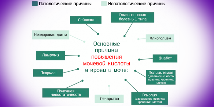 Чем связано повышение мочевины Чем связано повышение мочевины