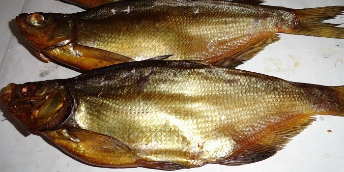 Вяленая рыба - как правильно приготовить живую или замороженную, высушить на солнце или электросушилке
