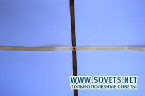 располагаются крест накрест