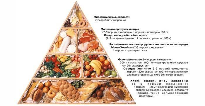 Структура питания по белковой диете