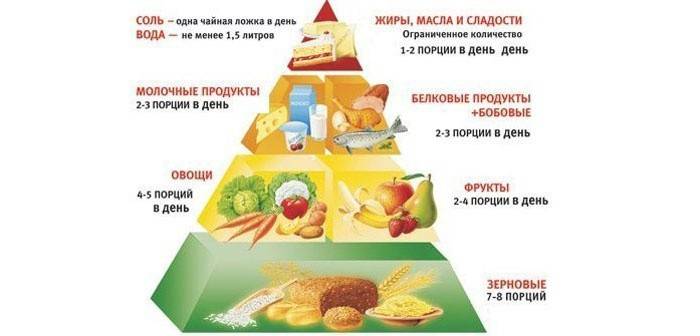 Список жиросжигающих продуктов