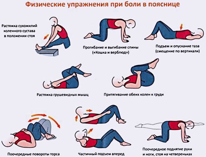 Упражнения, помогающие укрепить поясничный отдел позвоночника