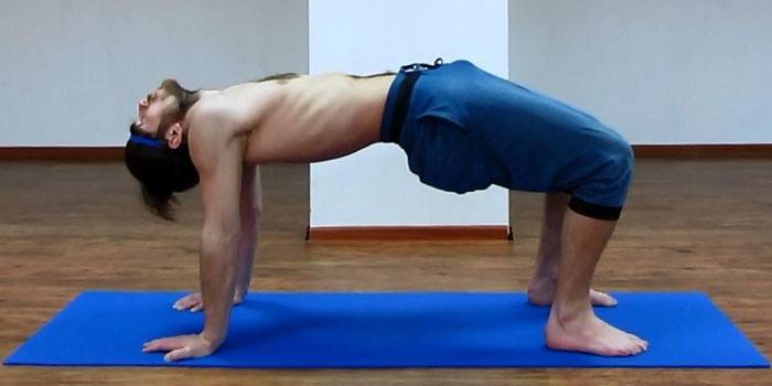 Упражнение Мостик