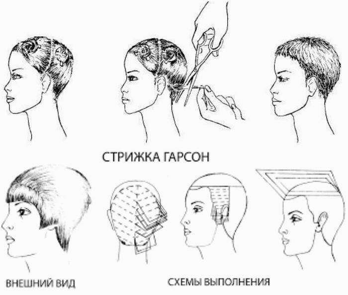 Схема создания прически гарсон