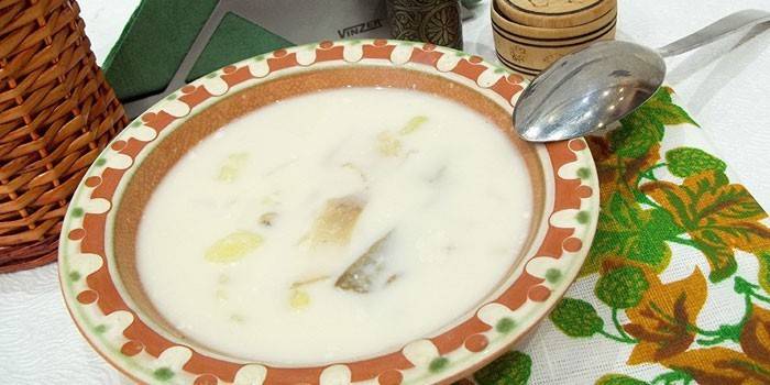 Суп из сыра в тарелке