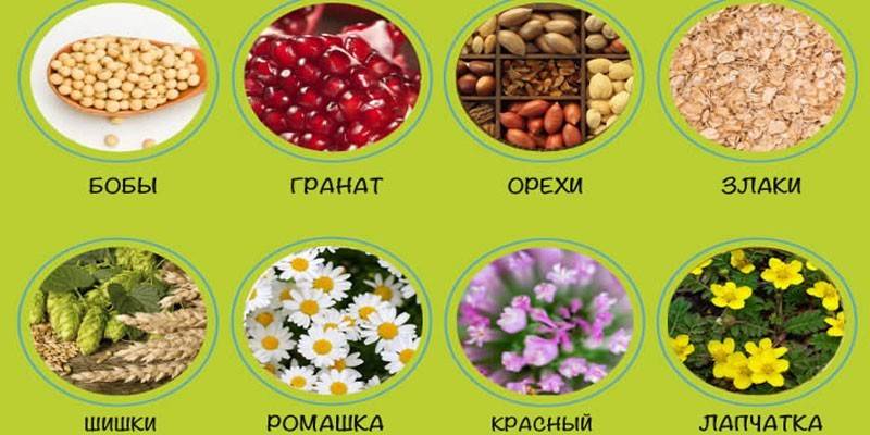 Фитоэстрогены в продуктах питания