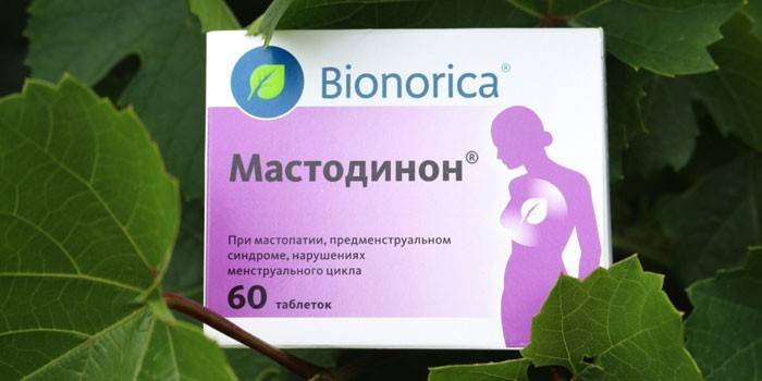 Таблетки Мастодинон