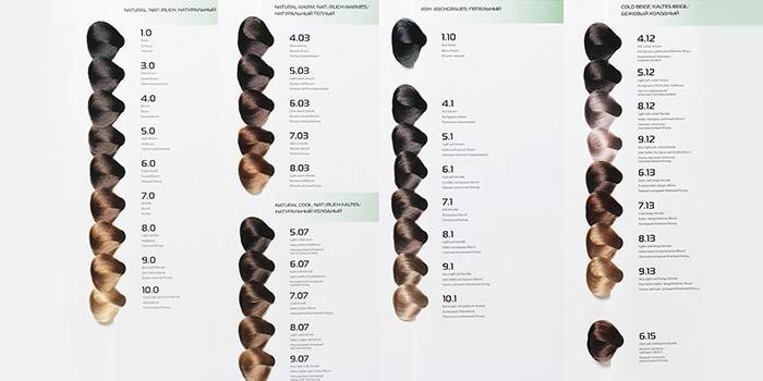 Каталог линии Professional