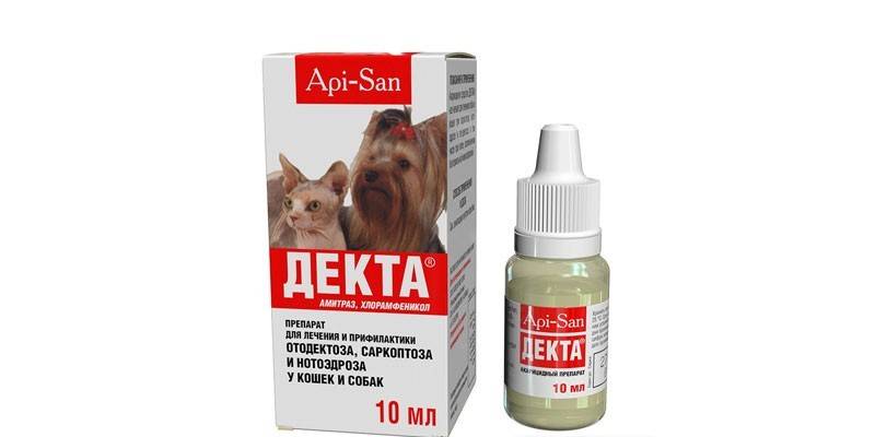 Декта
