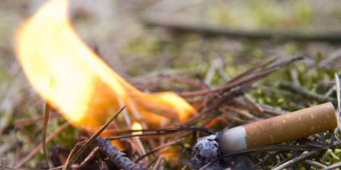 Причины возникновения лесных пожаров
