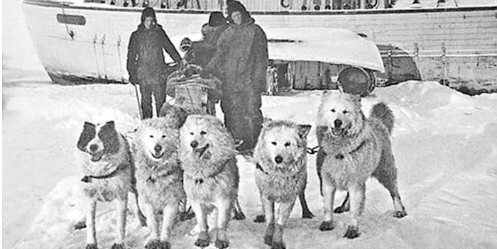 Экспедиция Амундсена на Северный полюс