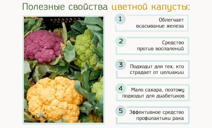 Польза цветной капусты