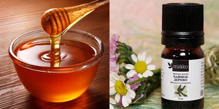 Мед и масло чайного дерева