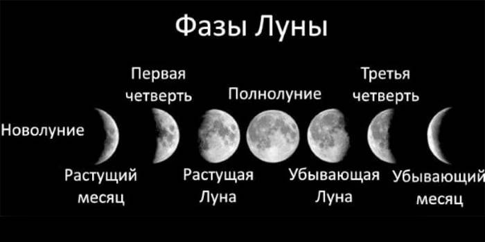 Фазы Луны