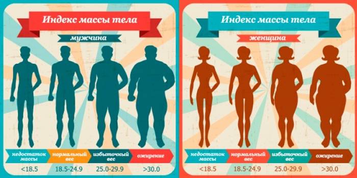 Индекс массы тела у взрослых