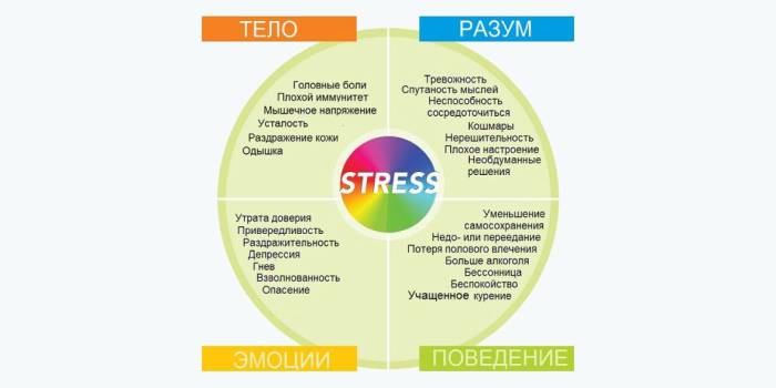 Влияние стресса на человека